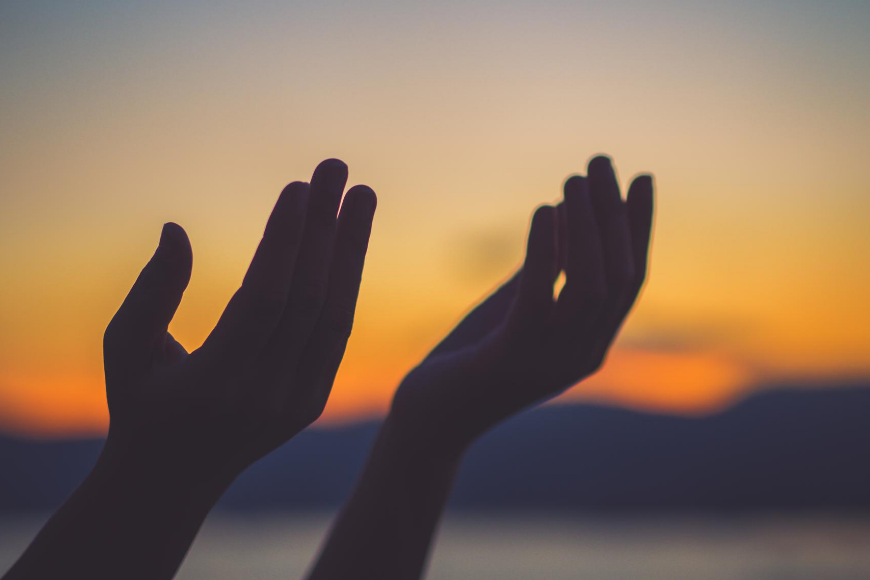Hands
