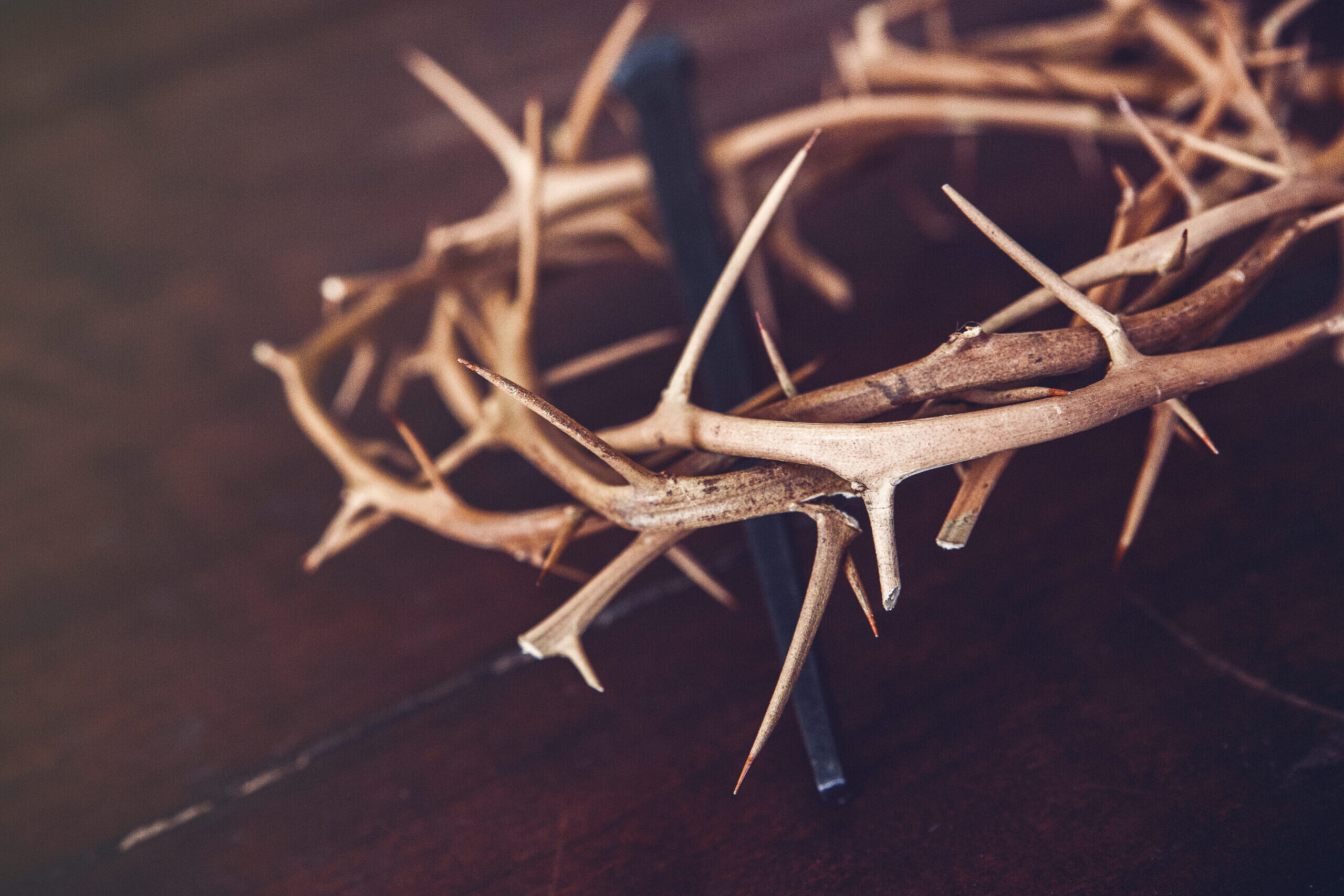36112_Holy_Week_1