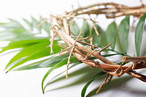 Palm Sunday