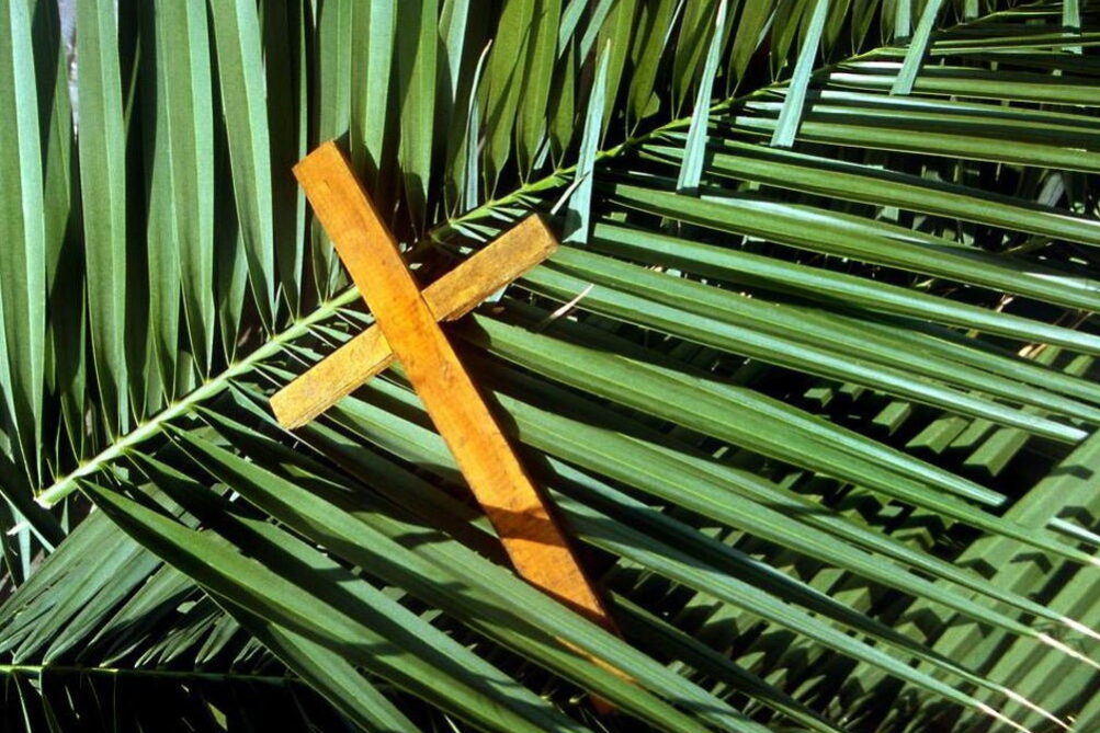 palm-sunday
