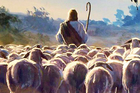 Good-Shepherd