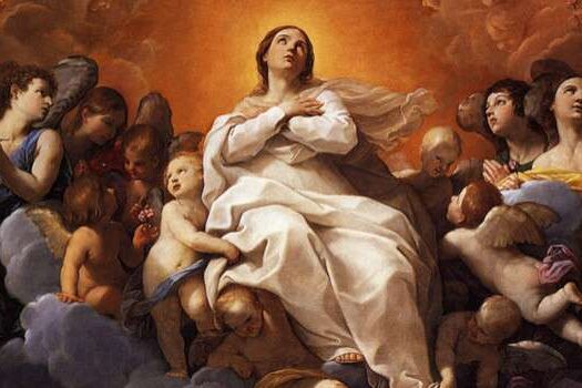 assumption-1617-660×350-1471236326