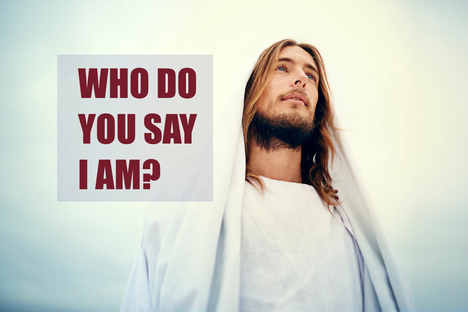 whodoyousayamijpg