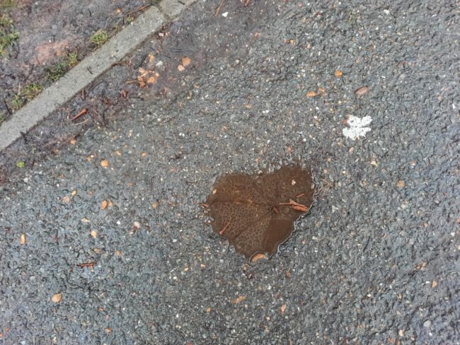 Heart shape St Josephs