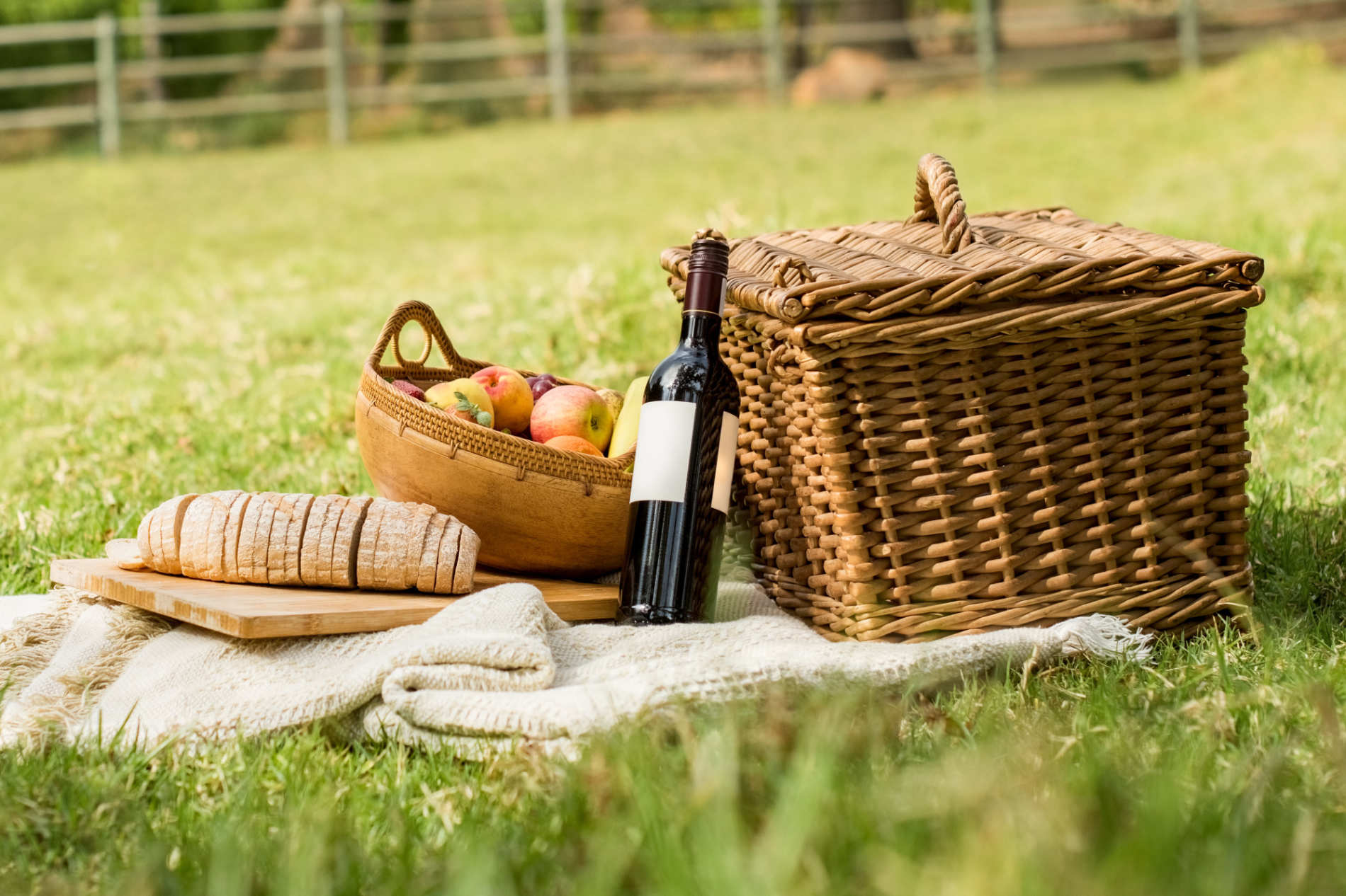 picnic
