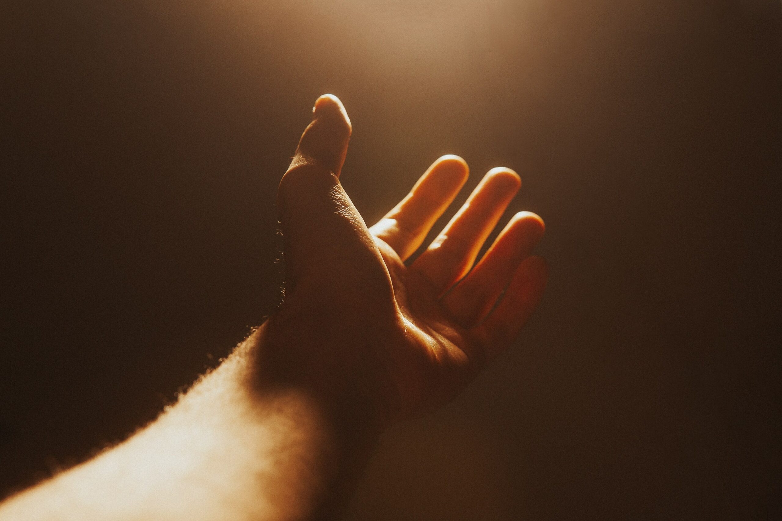hand-4661763